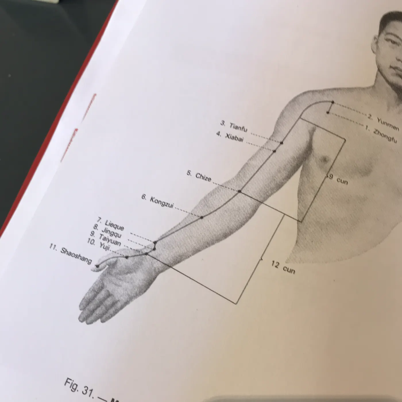 Planche d’un manuel de médecine chinoise : le méridien du poumon le long du bras
